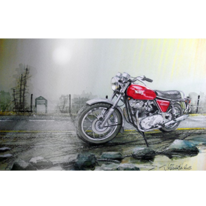 Ρολοκουρτίνα με εκτύπωση 35-CR