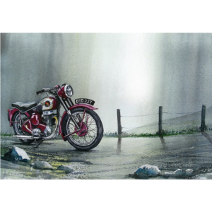 Ρολοκουρτίνα με εκτύπωση 44-CR