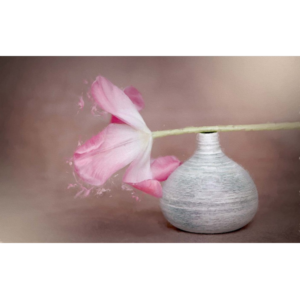 Ρολοκουρτίνα με εκτύπωση 596-CR