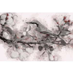 Ρολοκουρτίνα με εκτύπωση 599-CR