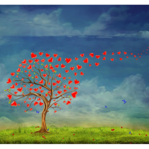 Ρολοκουρτίνα με εκτύπωση 28-DR