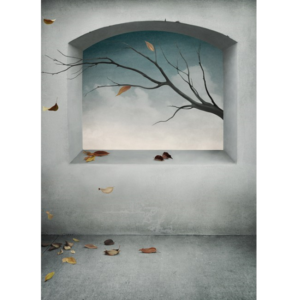 Ρολοκουρτίνα με εκτύπωση 67-SR