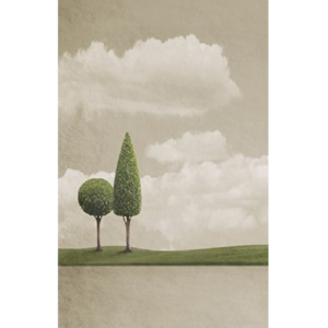 Ρολοκουρτίνα με εκτύπωση 69-SR