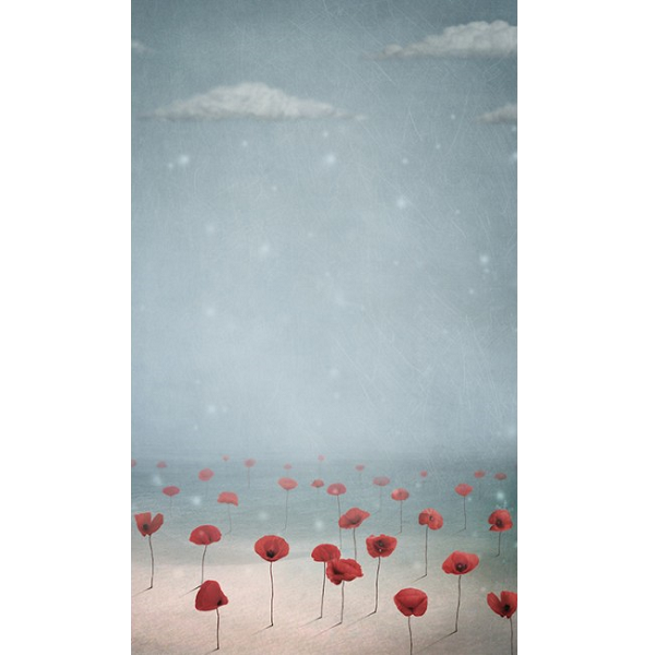 Ρολοκουρτίνα με εκτύπωση 72-SR