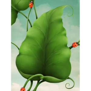 Ρολοκουρτίνα με εκτύπωση 78-SR