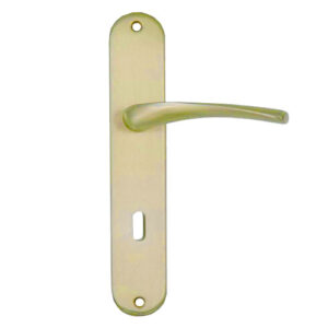 Πόμολο πόρτας με πλάκα DK-1168P